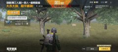 和平精英买挂怎么卖（和平精英外挂对游戏公平性有什么影响？）